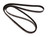 Automotive Metric Multi-V Belt | CON6PK1200
