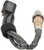 Oxygen Sensor | BOS17187