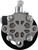 New Hydraulic Power Steering Pump | AAE5643N