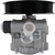 New Hydraulic Power Steering Pump | AAE5643N