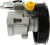 New Hydraulic Power Steering Pump | AAE63202N