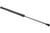 Tailgate Strut | UROURO-007941