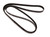 Automotive Metric Multi-V Belt | CON6PK1538