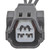 Multi Function Connector | BWDPT3895