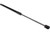Hatch Strut | UROURO-012612