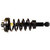 Rear Air Spring to Coil Spring Conversion Kit | MON90023C1