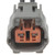 Ignition Coil Connector | BWDPT2322