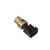 Fuel Pressure Sensor | BWDFPS512