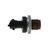Fuel Pressure Sensor | BWDFPS611