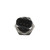 Fuel Pressure Sensor | BWDFPS529