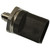 Fuel Pressure Sensor | BWDFPS567