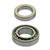 Rear Wheel Bearing | ACDA10