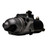 Gold (Professional) Remanufactured Starter | ACD336-2081