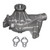 Engine Water Pump | ACD252-719