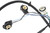 Passenger Side Tail Light Wiring Harness | ACD16531402