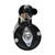 Gold (Professional) Remanufactured Starter | ACD336-2202