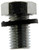 Oil Drain Plug M12-1.50 | DOR090-088CD