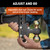 HD Adjustable Trailer Hitch Ball Mount with Dual Ball, 2-1/2" Shank, 20K | CRT45937