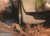 Custom Mud Guards - Rear Mud Guards | 98H59221
