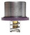 Engine Coolant Thermostat | MAHTHD 2 89