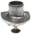 Engine Coolant Thermostat | MAHTI 48 80D