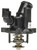 Engine Coolant Thermostat | MAHTM 17 98
