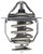 Engine Coolant Thermostat | MAHTX 190 82D