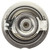 Engine Coolant Thermostat | MAHTX 117 95D