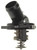 Engine Coolant Thermostat | MAHTI 254 78