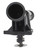 Engine Coolant Thermostat | MAHTI 24 95