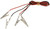 Un-insulated Alligator Clip Leads | DOR85654