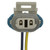 ABS Speed Sensor Wire Harness | BWDABH185