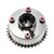 Engine Variable Valve Timing Sprocket | BWDVV5348