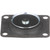 Carburetor Pump Plunger kit | BWD13141