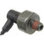 Oil Pressure Light Switch | BWDS4359