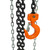2 Ton 20' Lift VCH Series Chain Hoist | SWX101036