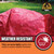 8' X 10' Tough Tarp | 0GG97031