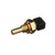 Coolant Temperature Sensor | BWDWT5000
