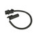 Crankshaft Sensor | BWDCSS819