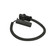 Crankshaft Sensor | BWDCSS819
