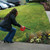 600W Garage/Shop Handheld Blower | WILW50063