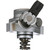 Direct Injection High Pressure Fuel Pump | BWDPGD630