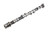 Exhaust Camshaft | ACD12604896