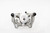 New Rear Left Disc Brake Caliper - Zinc Plated | GEOC40604
