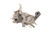 Engine Coolant Pump | ACD12735409