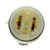 Distributor Pick-Up Assembly | BWDME514