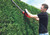 22" Electric Hedge Trimmer - 120V / 60Hz, 3.5 Amp | EIN3403371
