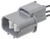 Multi Function Connector | BWDPT3976