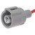 Multi Function Connector | BWDPT3977