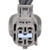Multi Function Connector | BWDPT3975